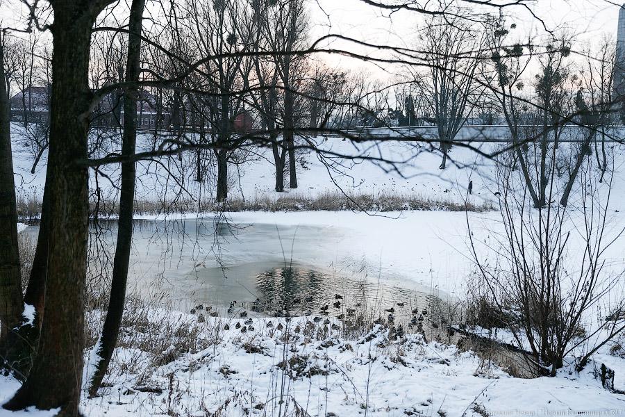 Опасно и безопасно: где в Калининграде найти снежные горки