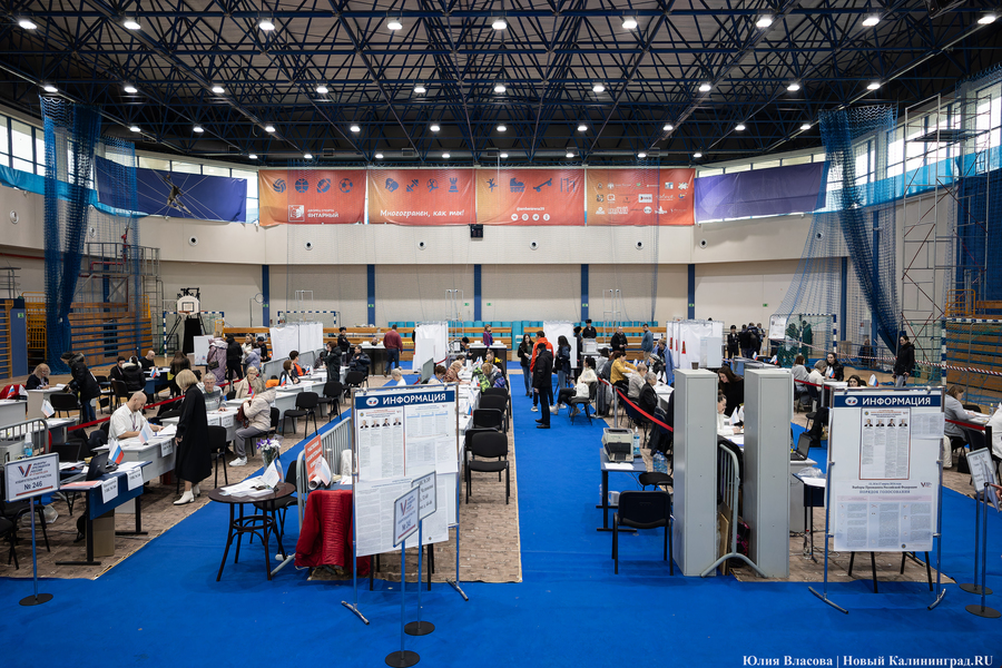 Один на ринге: как проходило голосование в Калининградской области (фото)