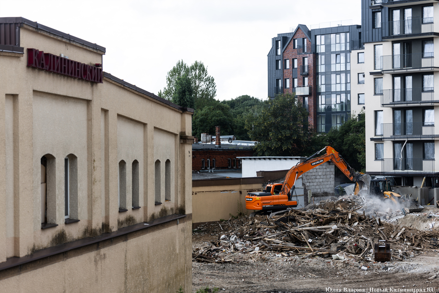 Фото: Юлия Власова / «Новый Калининград»