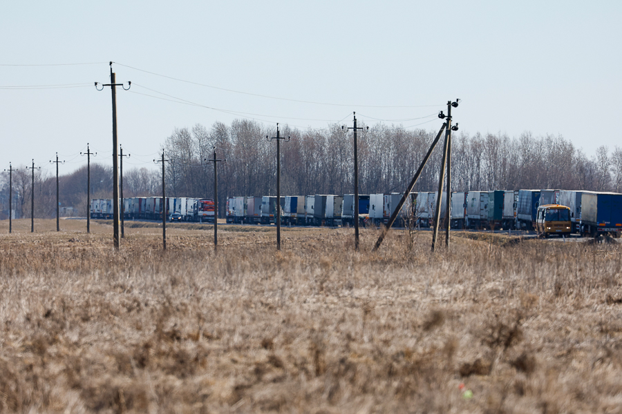 Эксперты: из-за частичной мобилизации возникает проблема с параллельным импортом