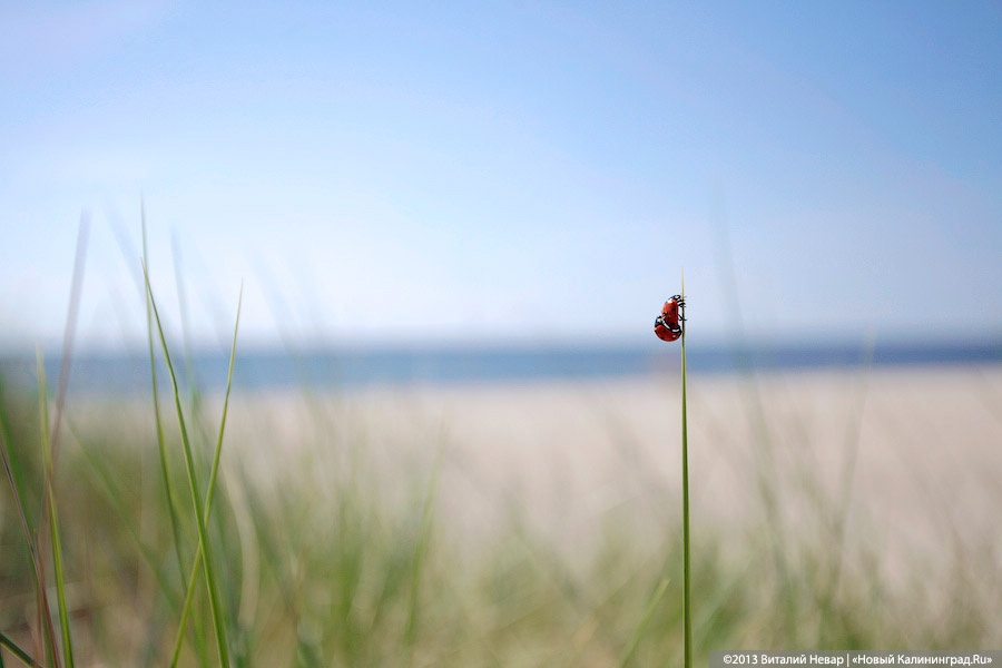 В АТОР составили рейтинг самых дешевых пляжных туров на начало октября