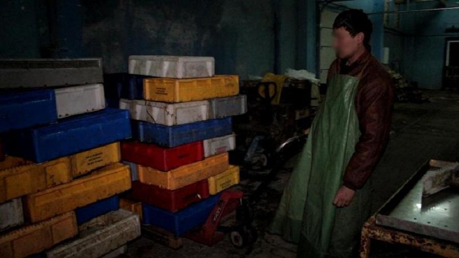 Полиция обнаружила в Балтийске незаконный рыбный цех, в котором работали нелегалы (фото)