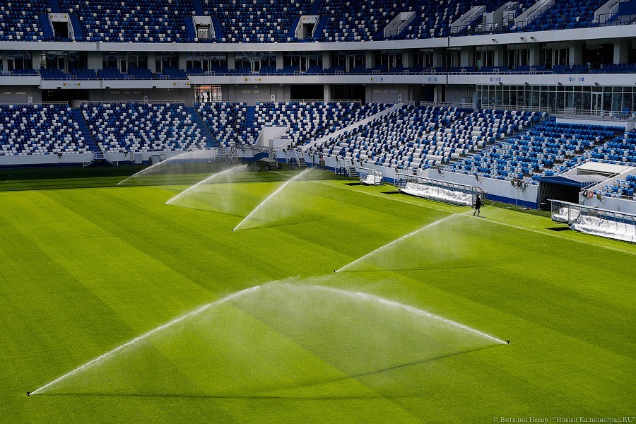 Фото — Виталий Невар, «Новый Калининград»