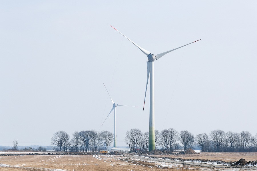 Прокуратура: ветропарк в Ушаково возвели без разрешения на строительство