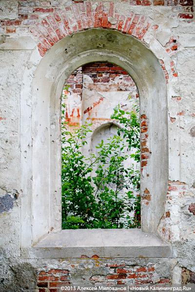 Забытые могилы: кирха и кладбище в поселке Тишино зарастают деревьями