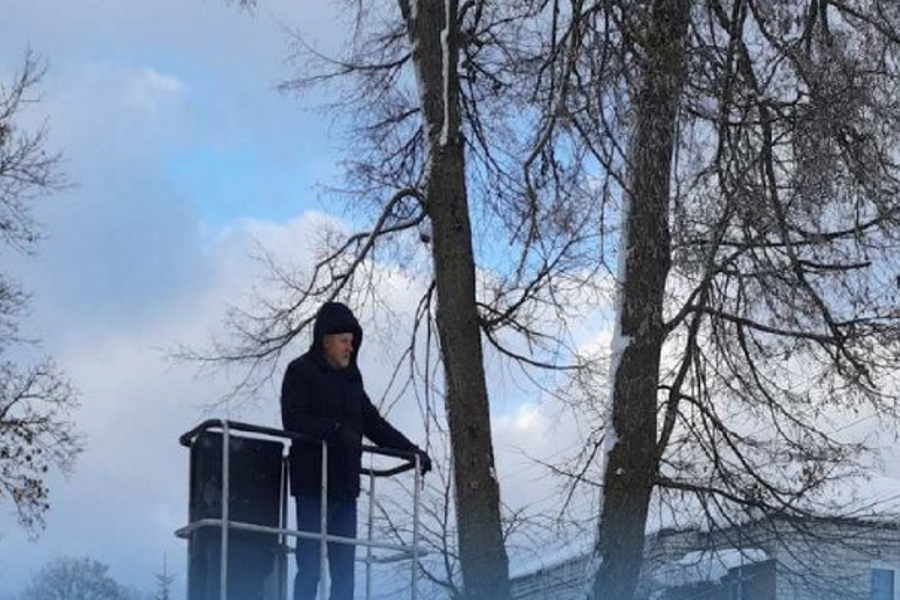 В Краснознаменском районе местный глава спас кота, просидевшего на дереве двое суток