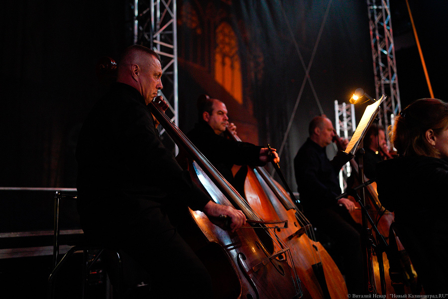 Опера с Хабенским: на острове Канта открылся фестиваль «Территория мира» (фото)