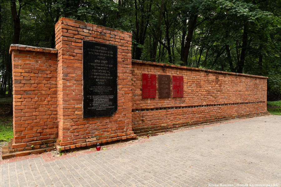 В Калининграде начали благоустраивать старое еврейское кладбище (фото)