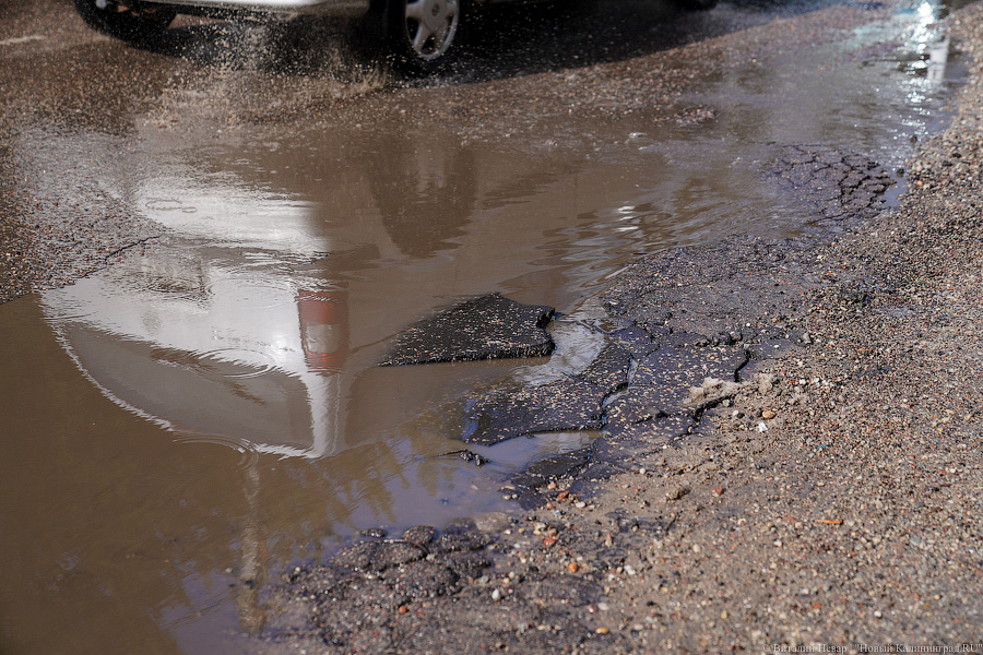 Власти Калининграда заказывают за 6,9 млн проект ремонта улицы Ломоносова