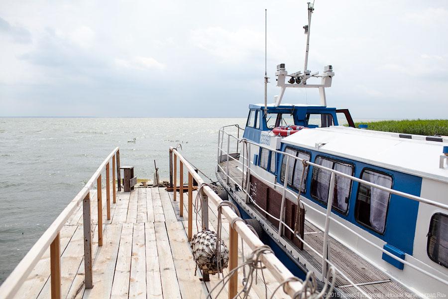 Дюны, мысы, птицы: как работает новый маршрут Куршской косы по воде