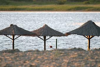 Агеева: малое безвизовое перемещение с Литвой выгоднее Калининграду, чем соседям