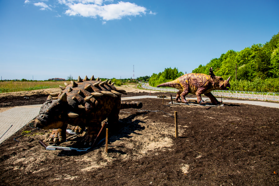 Янтарный комбинат планирует открыть динопарк в июле (фото) (видео)