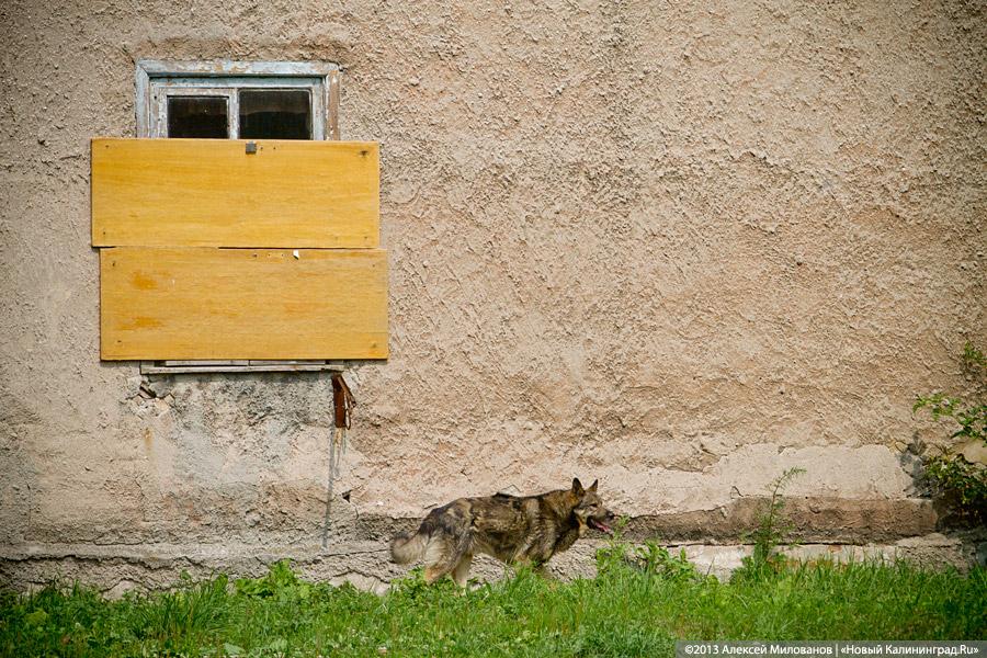 Не так страшен чёрт: Московский район