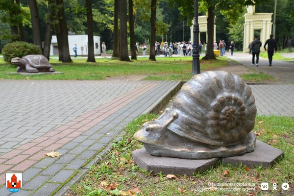 В Советске установили декоративные фигуры в виде черепахи и улиток (фото)