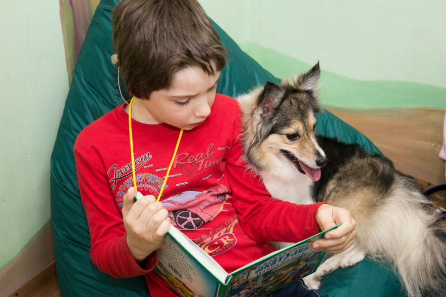 Дети читают собаке. Дети чтение собаки. Ребенок читает собаке. Конкурс читаем с собакой. Собака читает новости.