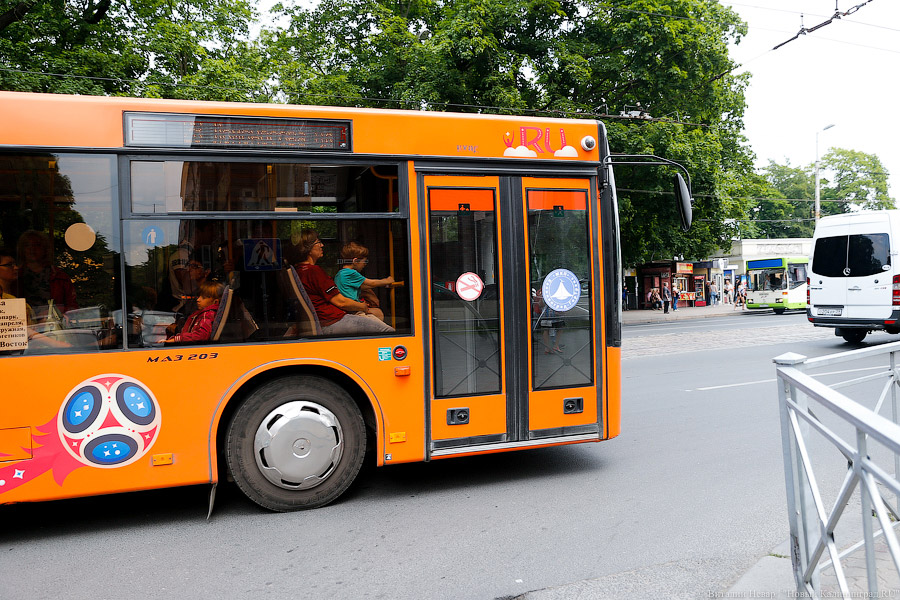 В Калининграде на все лето отменяют автобусный маршрут № 12