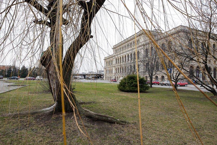 «Патефон» и ДКМ: власти не возражали против появления торгового центра у памятника истории