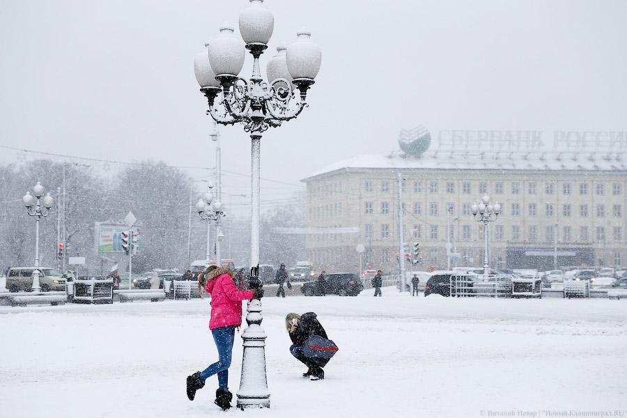 Белый снег, серый лёд: зима в Калининграде (фото)