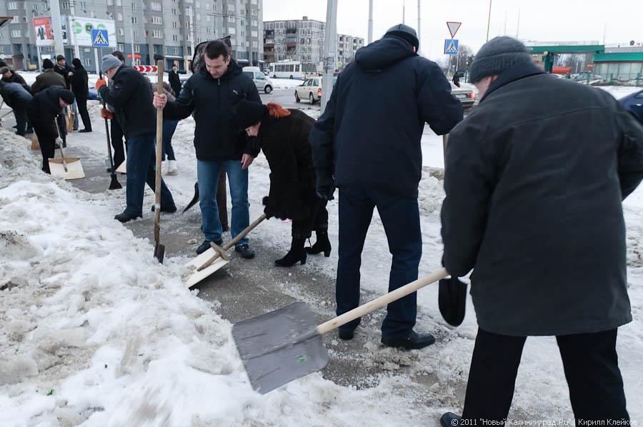 "В руки - лопаты-2": фоторепортаж "Нового Калининграда.Ru"