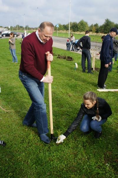 «Елки-палки»: фоторепортаж «Нового Калининграда.Ru»