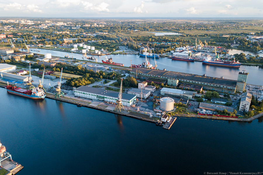 Виталий Невар / Новый Калининград