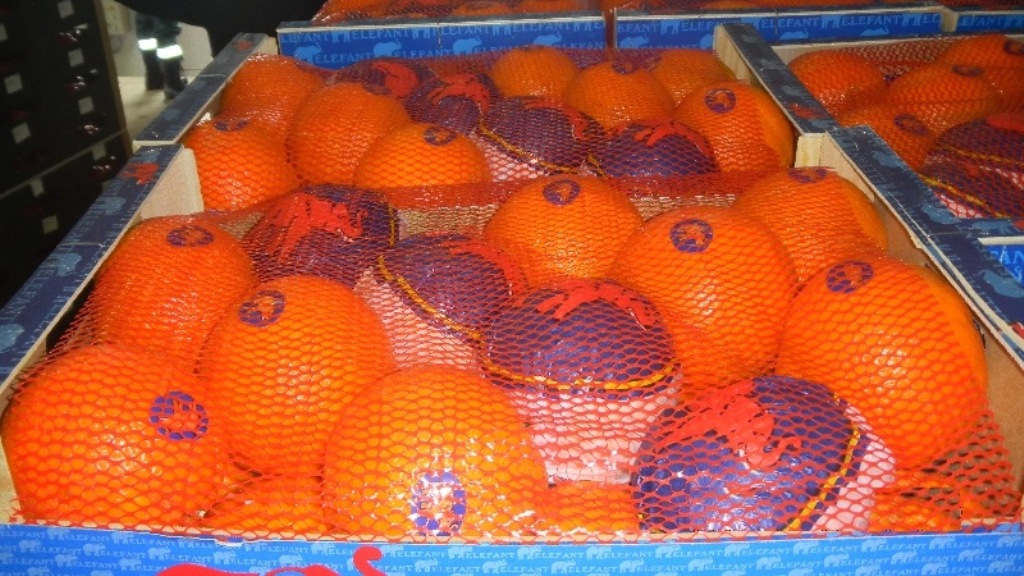 На полигоне в Калининградской области уничтожили 30 тонн овощей и фруктов