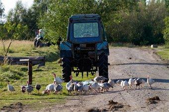 В Калининградской области заброшено около 14 тыс га федеральных сельхозземель