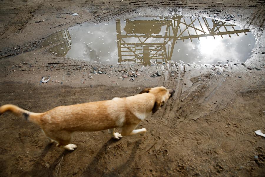 Без паники и спасибо Путину: что думают производители хлеба и консервов о продовольственном эмбарго