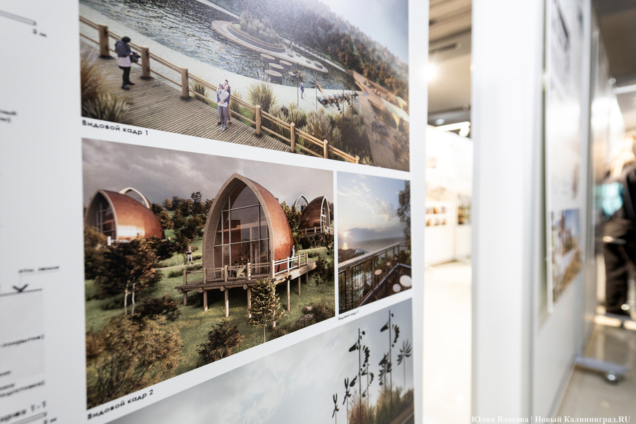 «Гнёзда» на Филинской бухте: проект из Москвы получил первую премию «ЭкоБерега» (фото)