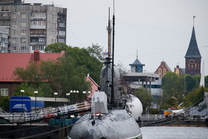 Фото — Виталий Невар, «Новый Калининград»