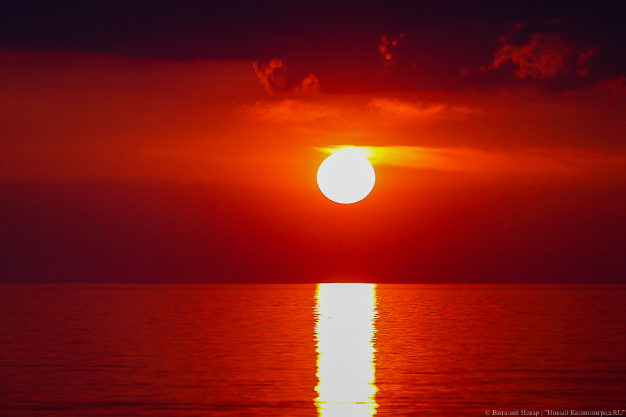 Метеорологи: прошедшая неделя стала рекордно жаркой во всем мире