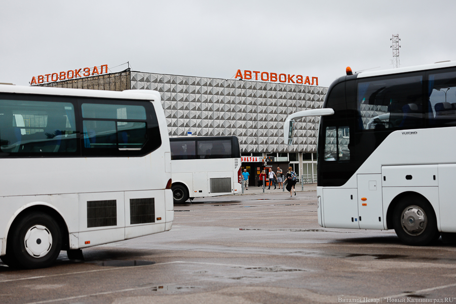 В Калининградской области с 10 июня изменяются маршруты пригородных автобусов
