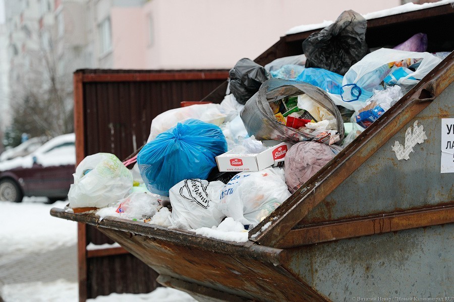 Область выделяет муниципалитетам 31 млн рублей на закупку мусорных контейнеров
