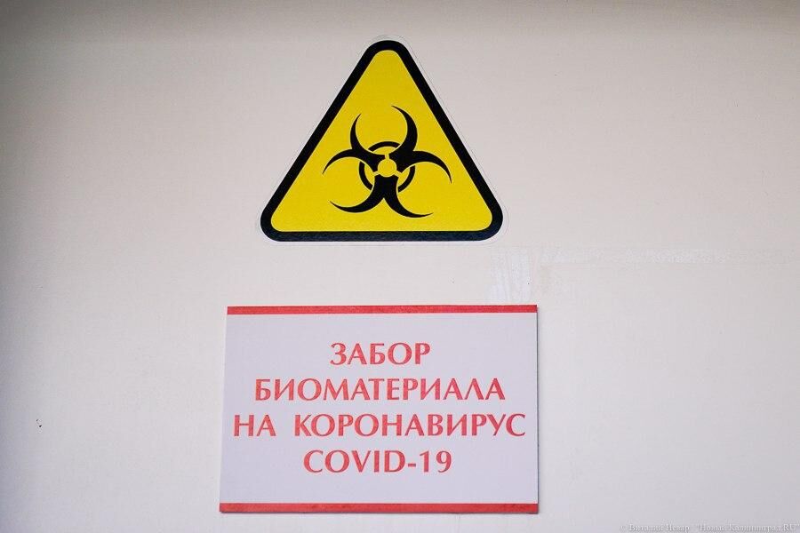 За сутки в Калининградской области выявили 44 случая COVID