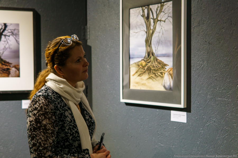 «О чем молчат деревья»: в Воротах открылась выставка, воспевающая придорожные аллеи (фото)