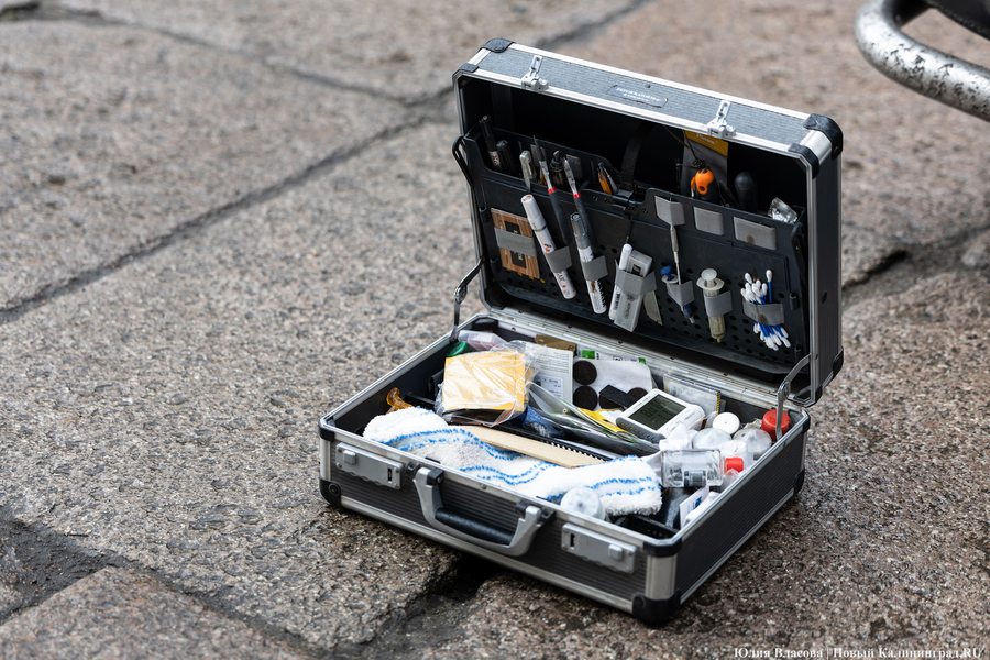 Восстановить и сохранить: скульптуры львов у бывшей биржи готовят к реставрации