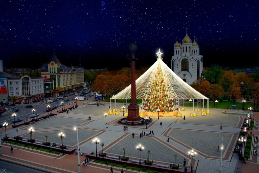 Власти Калининграда рассказали, как они решились на приобретение новогодней ёлки