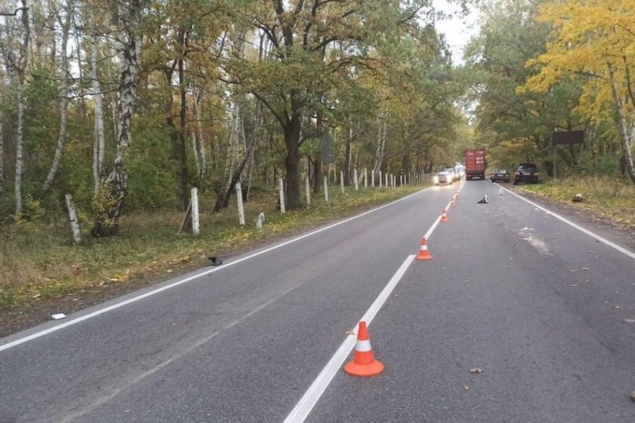 На балтийской трассе насмерть сбили пенсионерку 