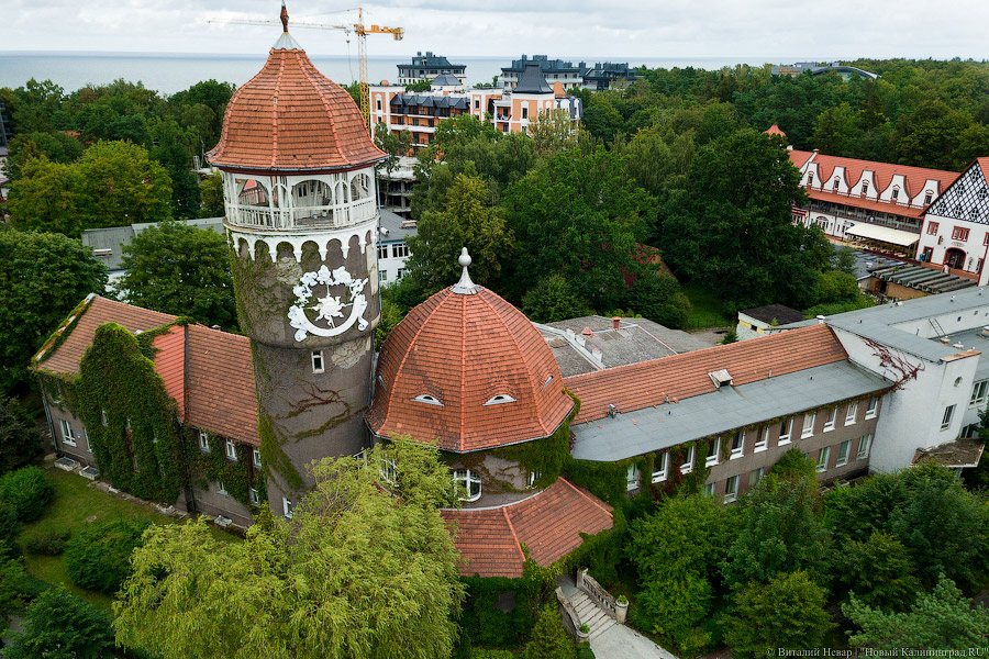 Фото: Виталий Невар / Новый Калининград