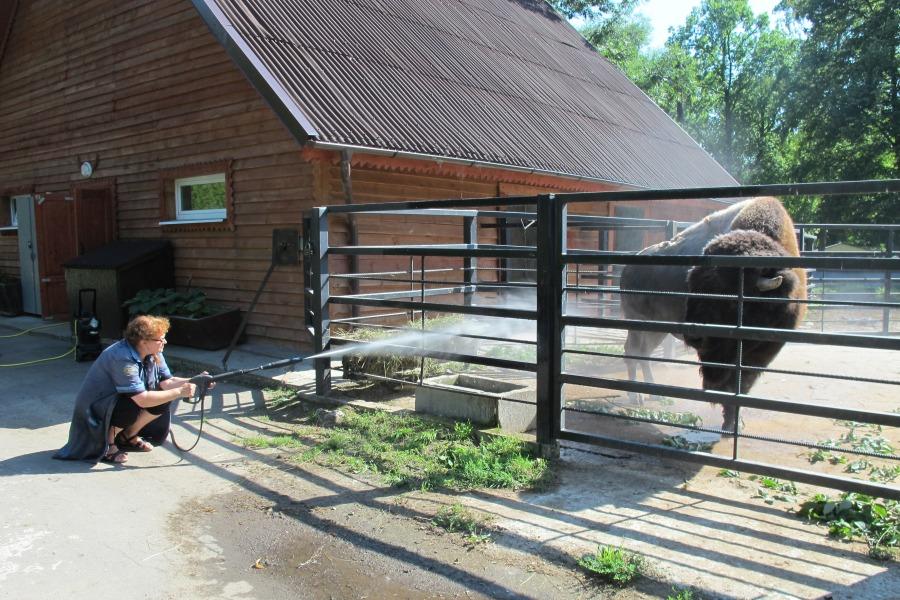 Фото предоставлено Калининградским зоопарком