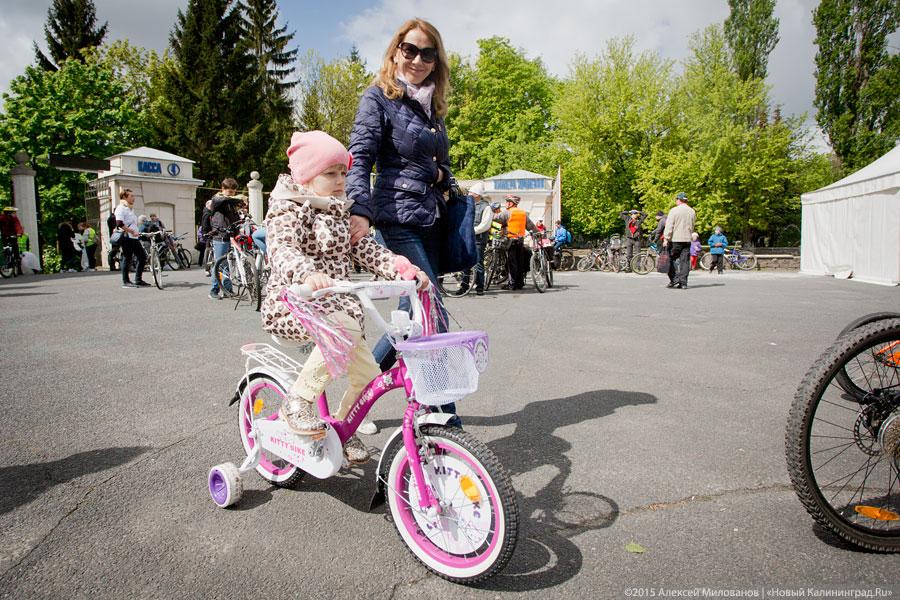 Пятое колесо: чем не смог стать «День колеса» к своему первому юбилею