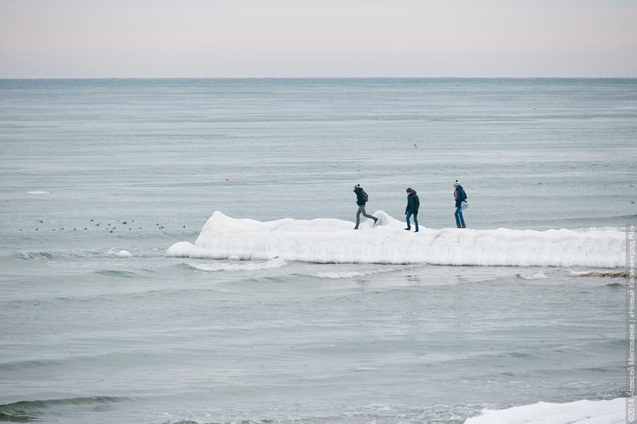 Недоморозило: холодам не удалось сковать льдом берег Балтийского моря
