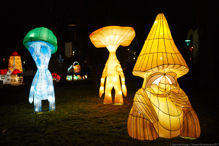 Они живые и светятся: в «Юности» открыли парк фонарей со сказочными героями (фото)