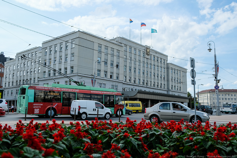 Дятлова о новом месте работы: открыть окно на площади Победы невозможно