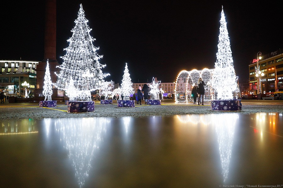 Открути оленю ушко: центр Калининграда украсили к Новому году (фото)