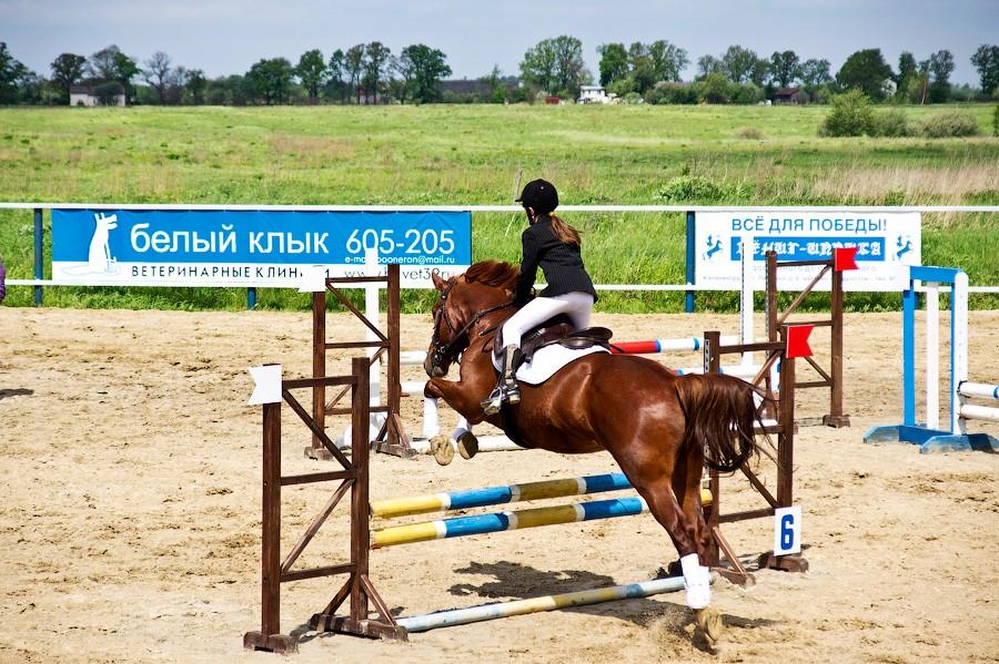 «Взлеты и падение»: фоторепортаж с соревнований по конкуру
