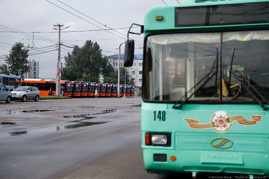 Президент назвал наиболее экологичный транспорт для российских городов