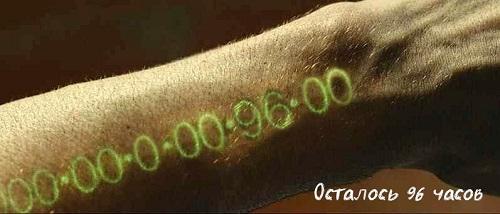 У вас только 96 часов, чтобы отправиться в морское путешествие