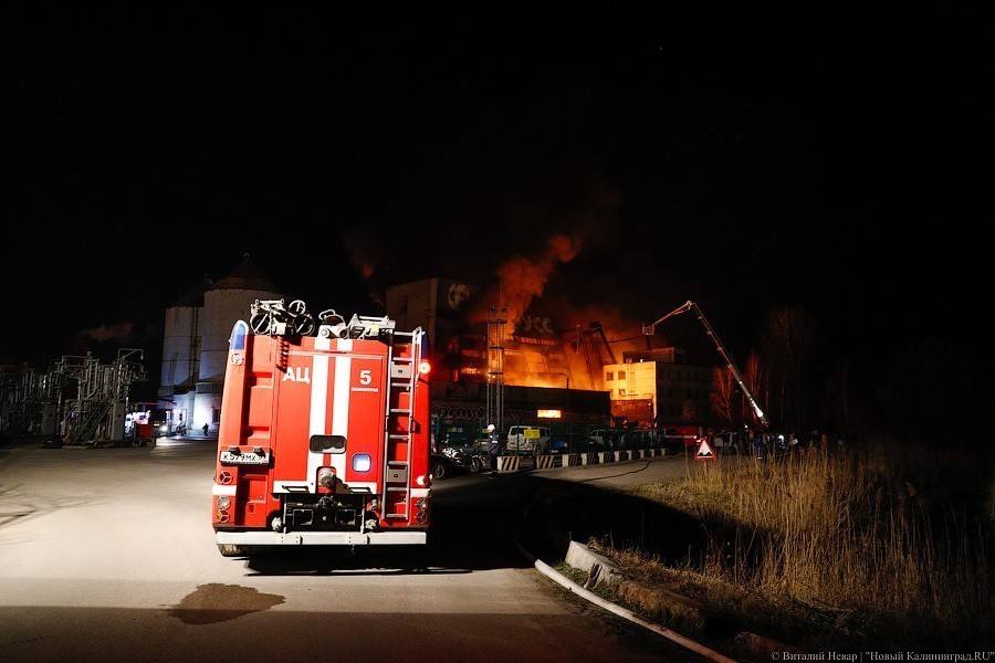 «Цепрусс» в огне: в Калининграде горело заброшенное здание завода (фото)