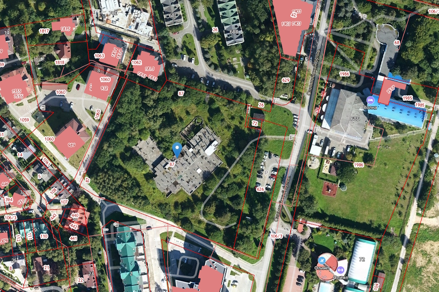 На Калининградском проспекте в Светлогорске разрешили вырубить 309 деревьев